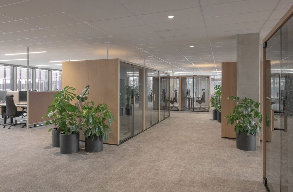 SenabEikelandfinals-38