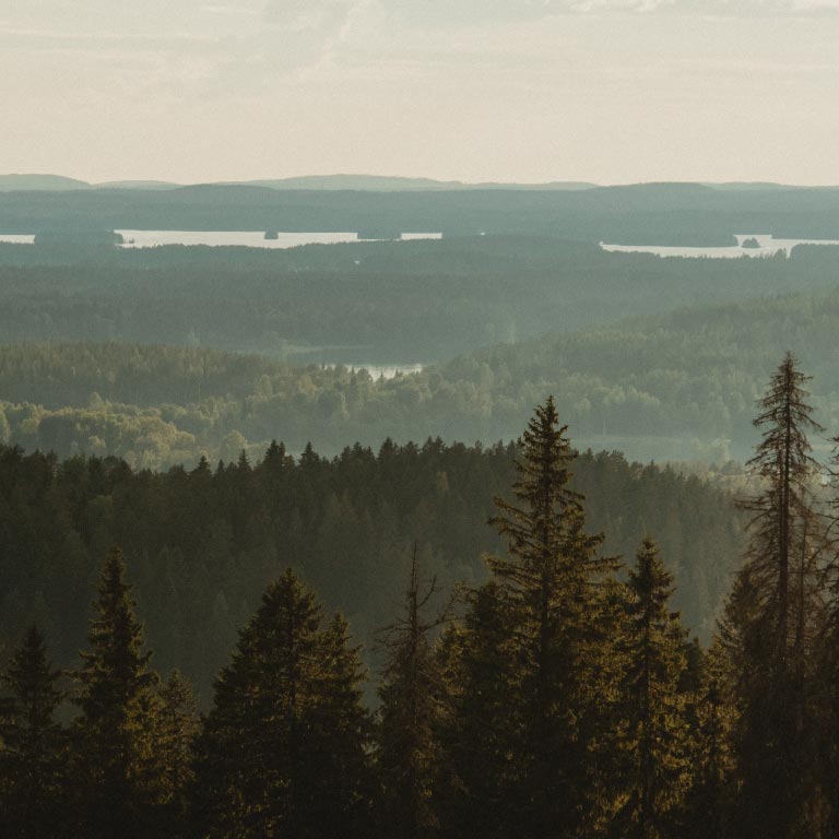 Taiga-brand-images--1